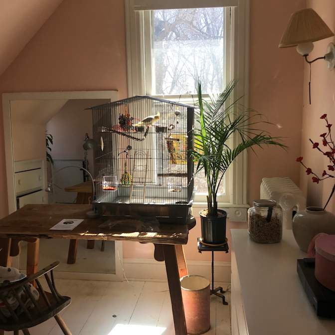 Kate's room