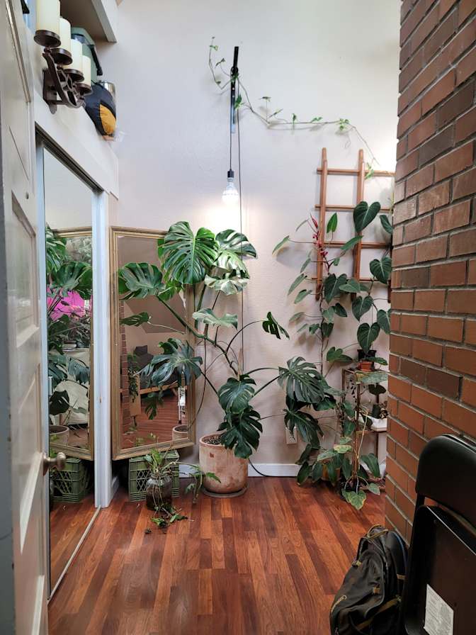Casey's room