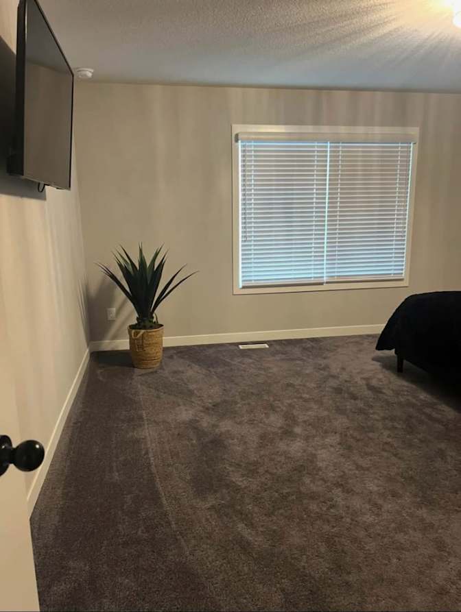 Lisa's room