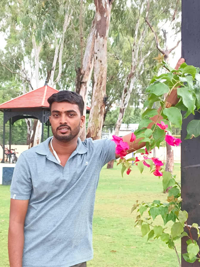 Anil