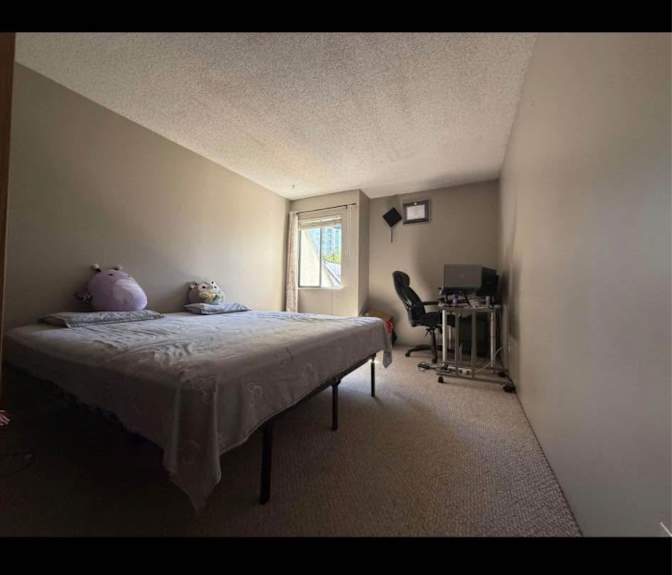 Tarek Hassan's room