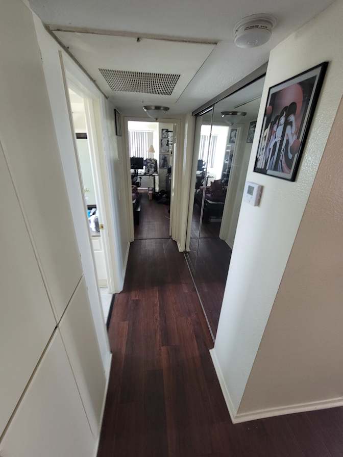 Lily's room