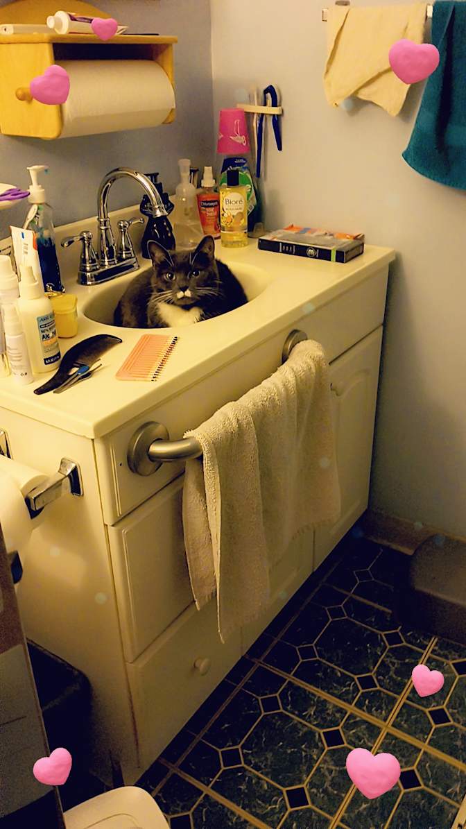 Michelle's room