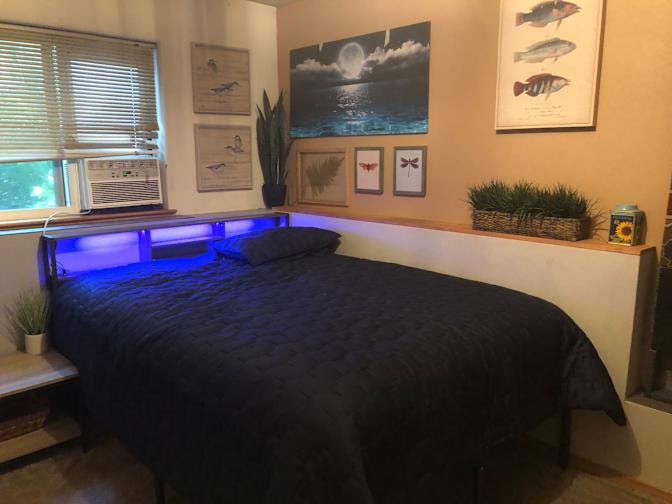 Pat's room