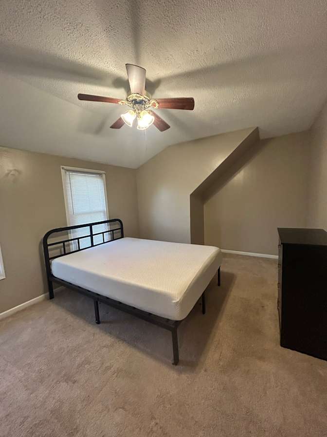 Tatyana C's room