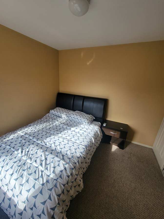 Mario's room