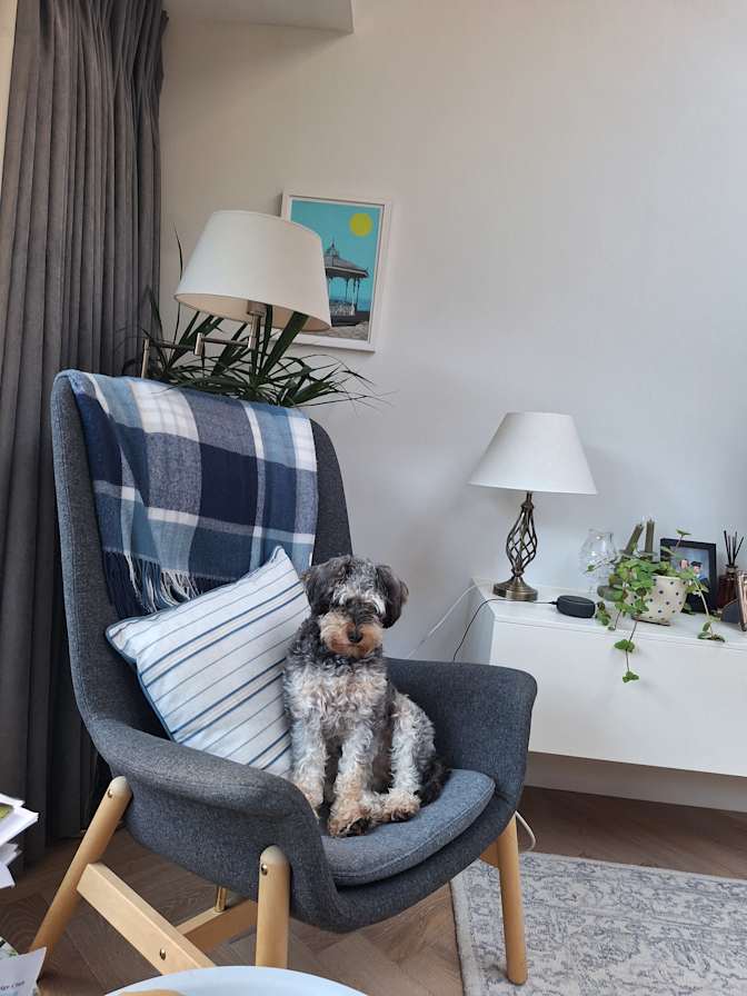 Fiona Macken's room