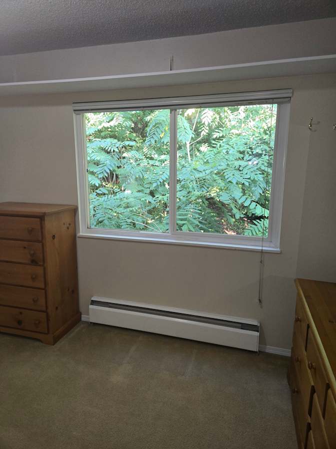 Davey's room