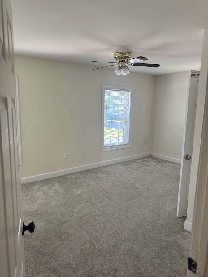 Mohammad's room