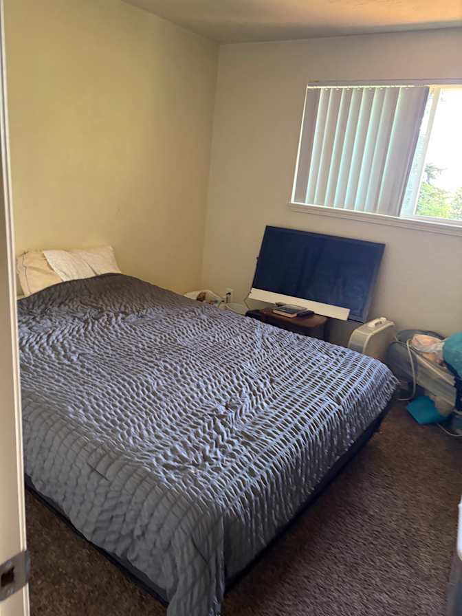 Sarah Craighead's room