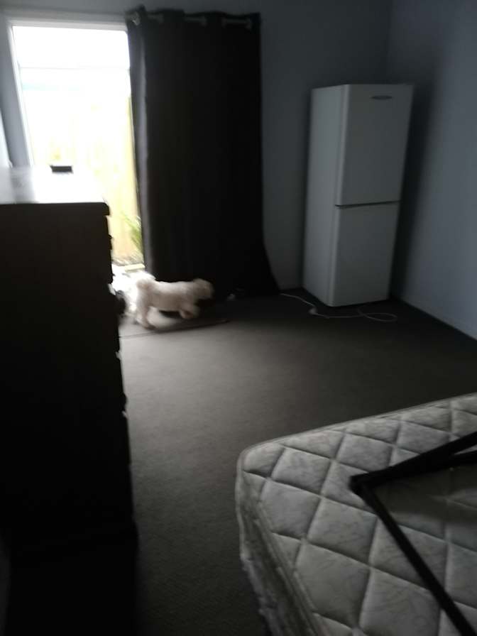 Susan Wagstaff's room
