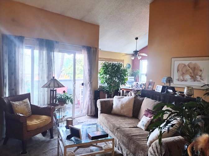 Mary's room