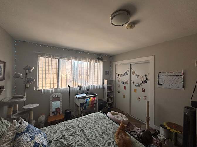 Dani's room