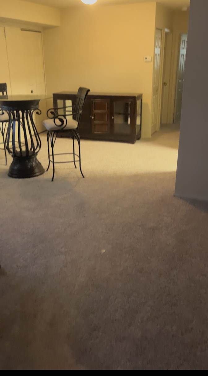 Wood Properties's room