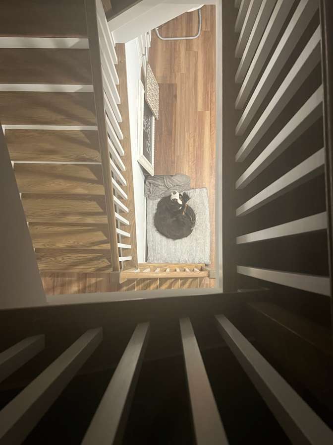 Morgan's room