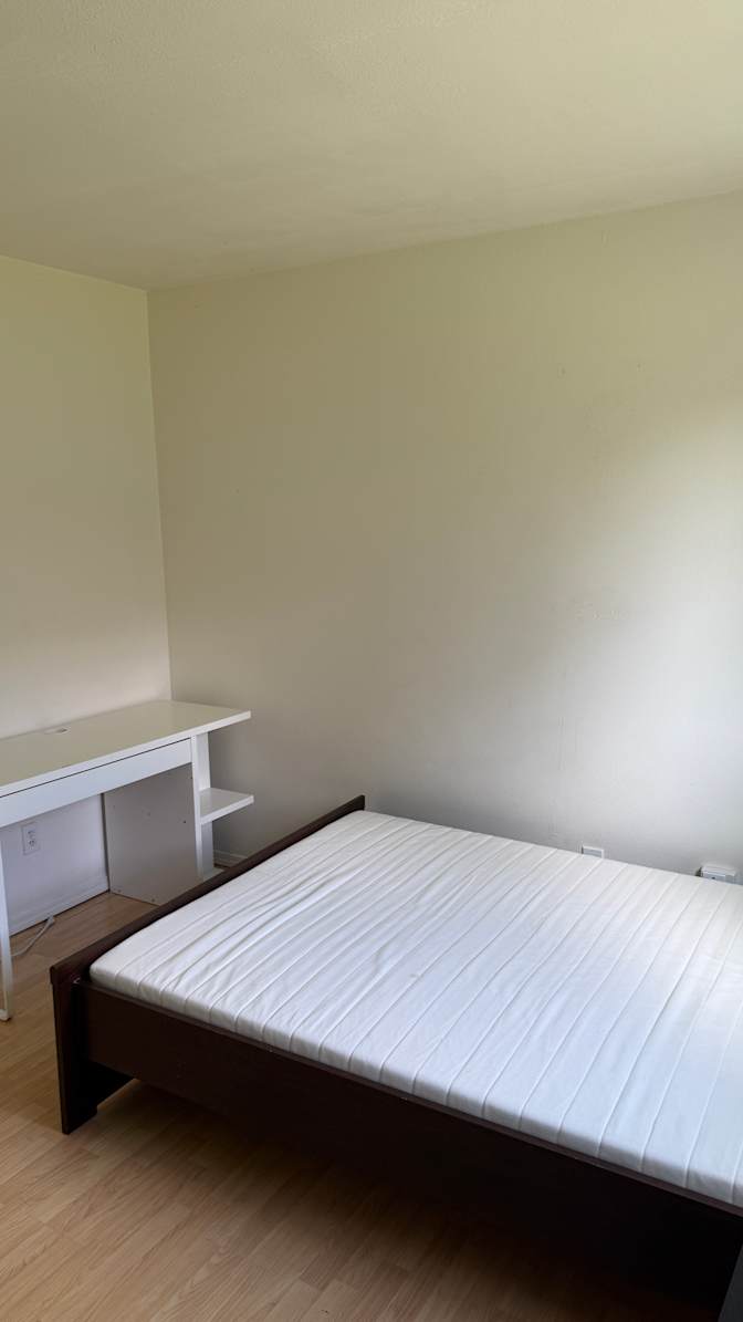 Amy's room