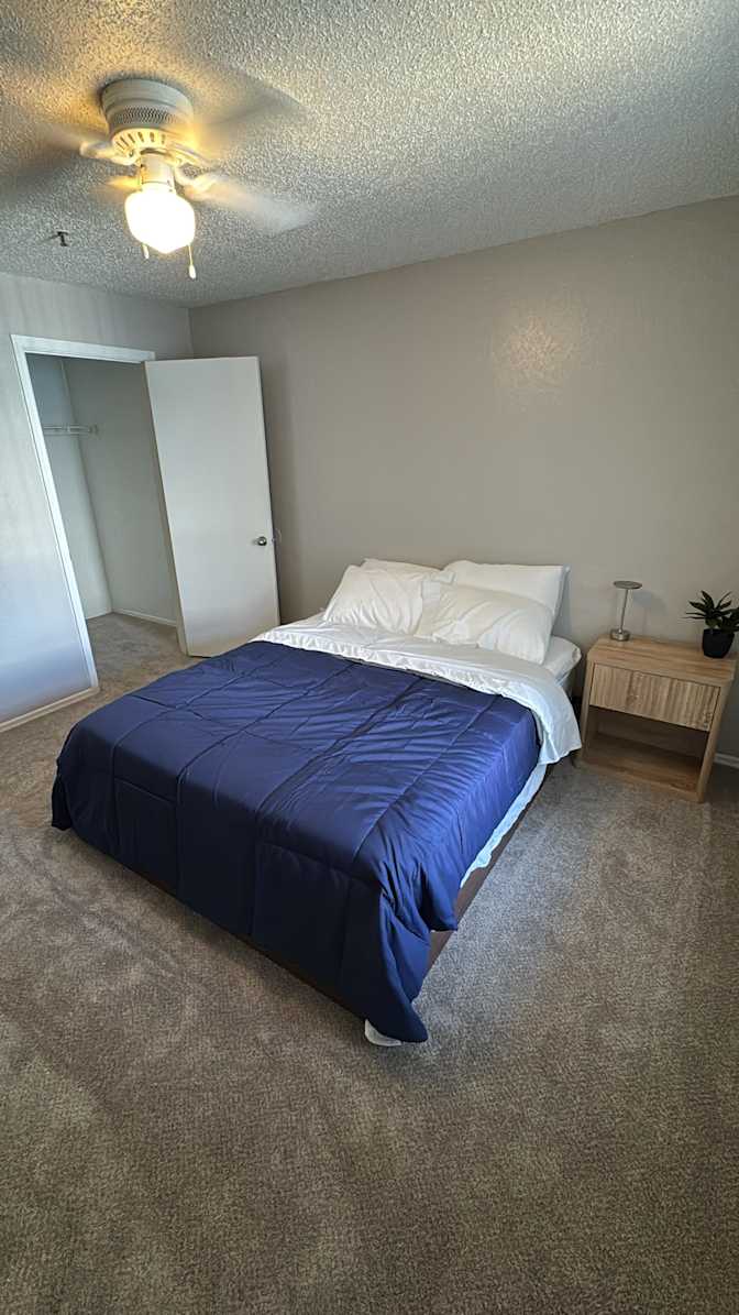 Amr Nassir's room