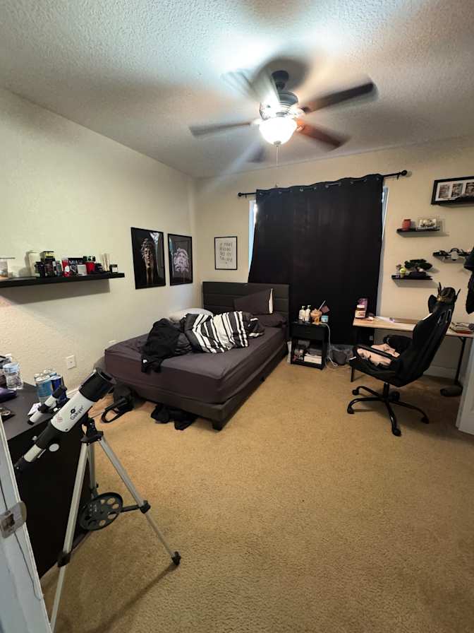 rui ferreira's room