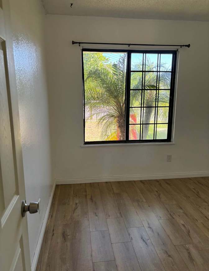 Evelyn's room