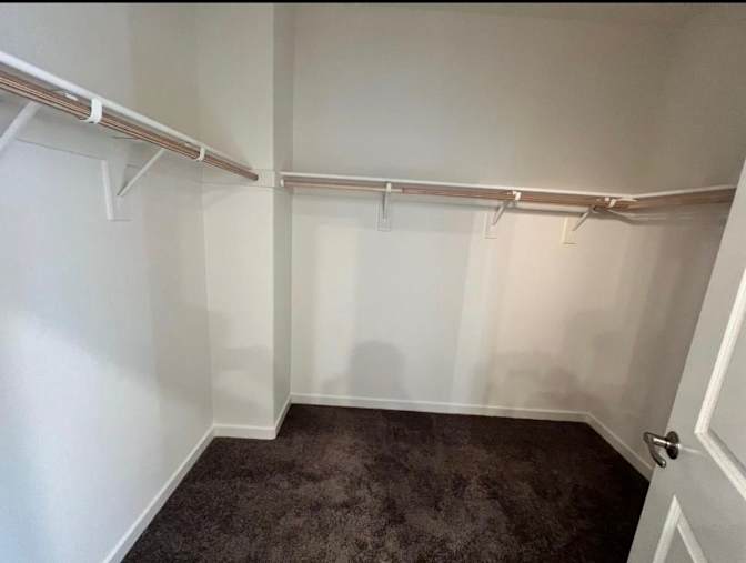 Manuss's room