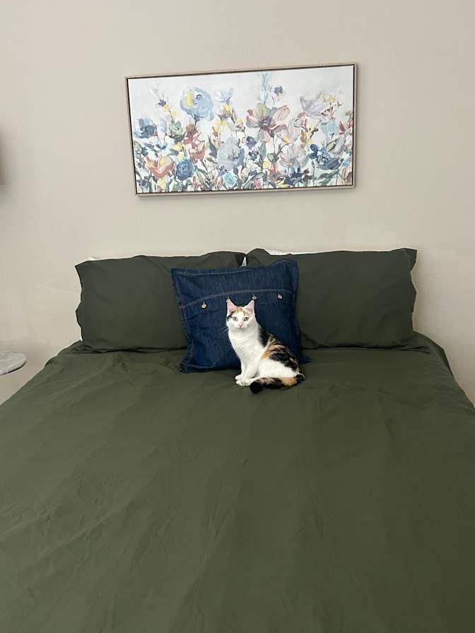 Jamie's room