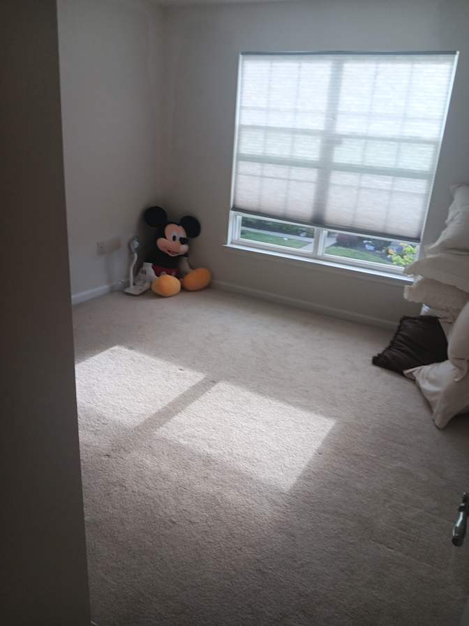 Joey kaminowitz's room