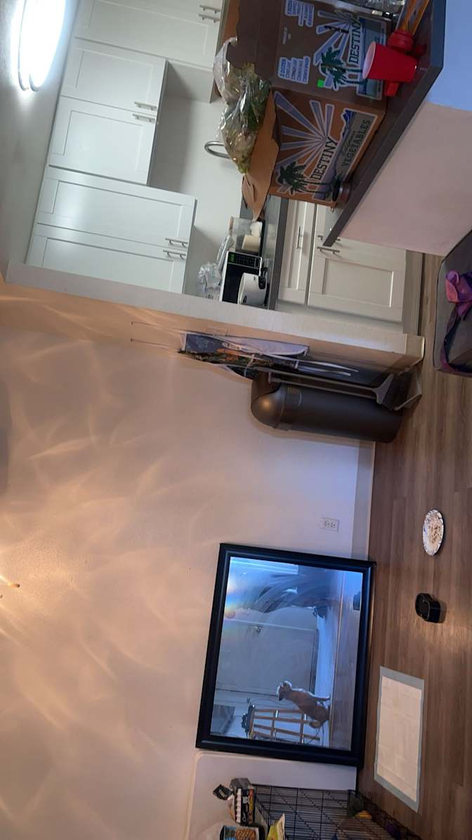 Sabine Awoudja's room