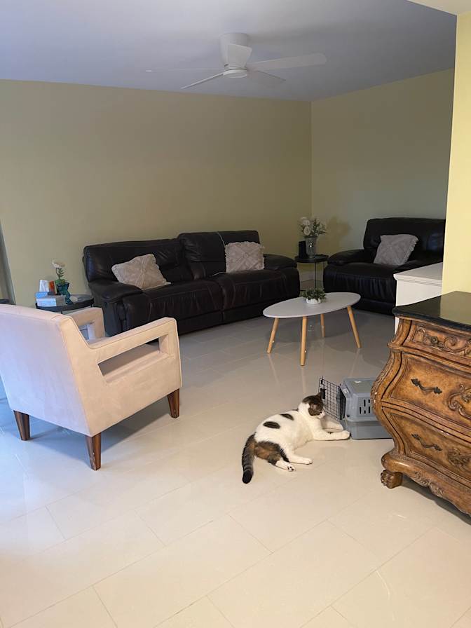 Rosalba Reis's room