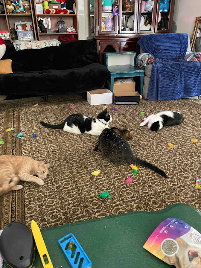 Minxy's room
