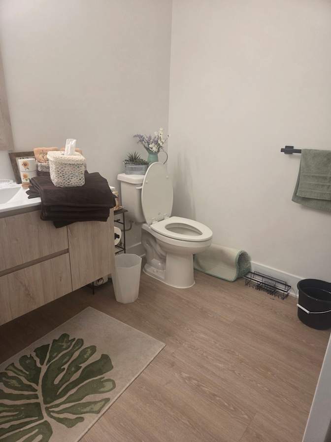 Janet's room