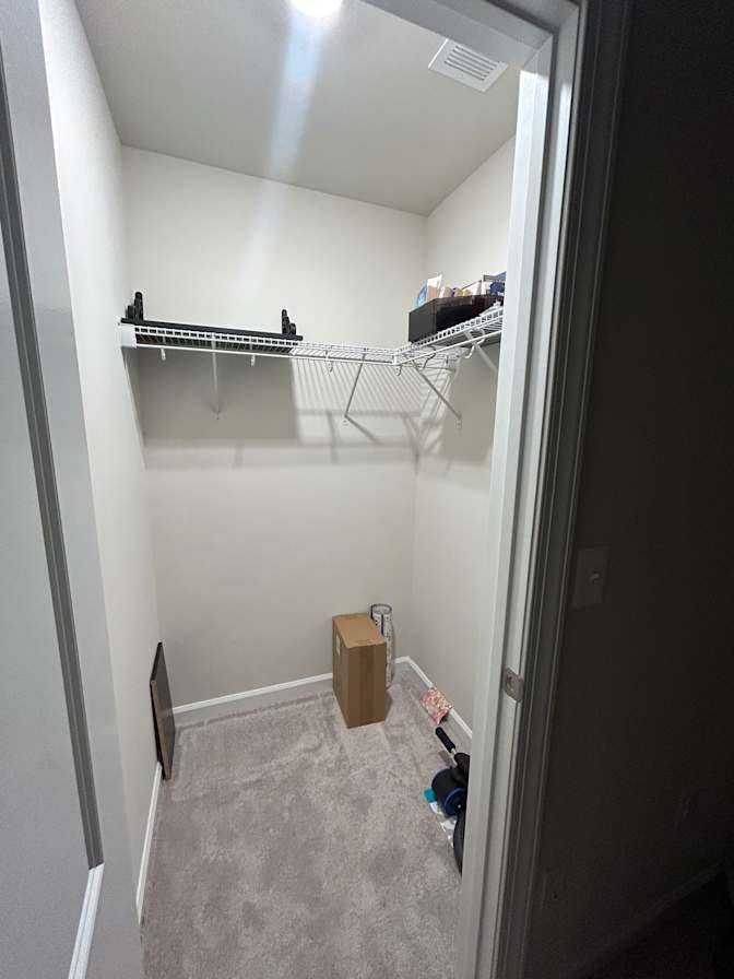 Lyn's room