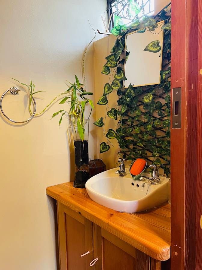 Dino's room