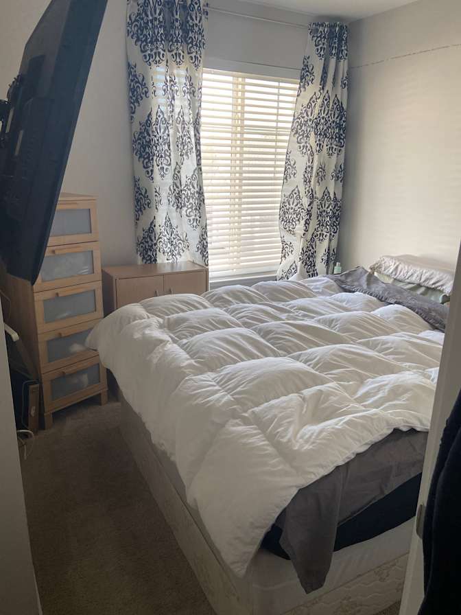 Timea's room