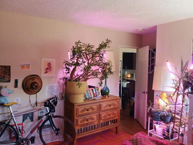 Joao's room