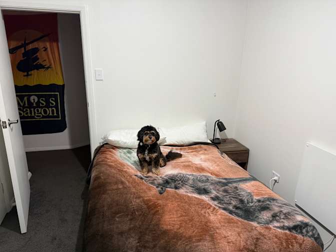 Scott's room