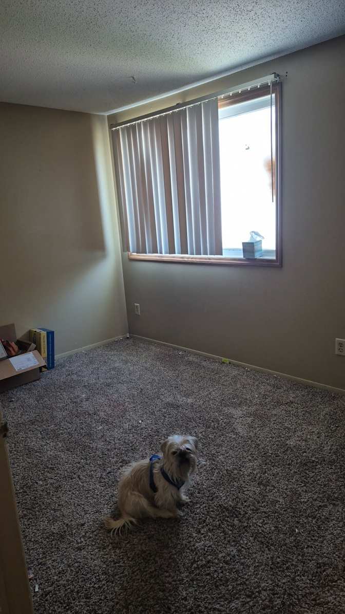 Monte Muggins's room