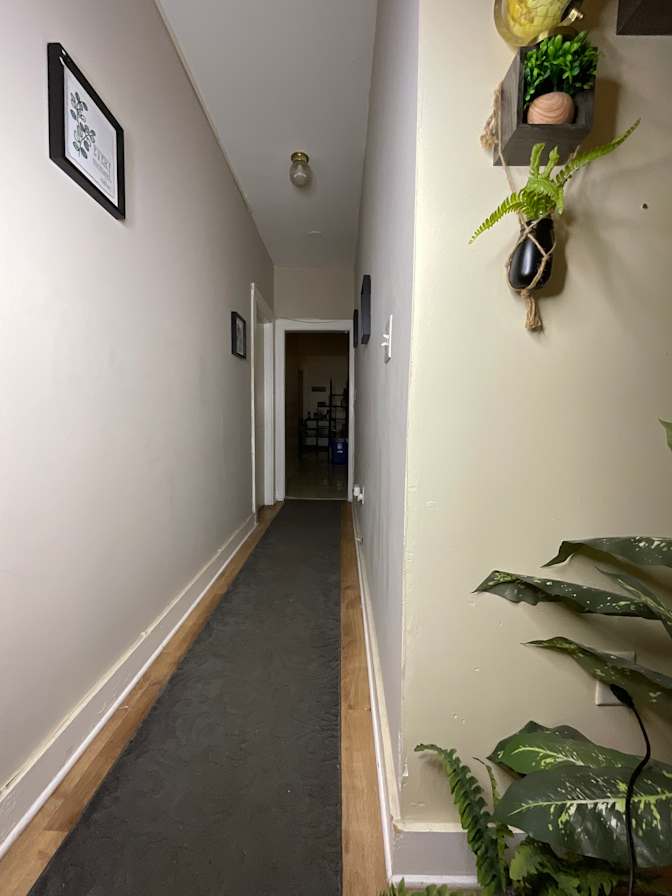 Budget Stays's room