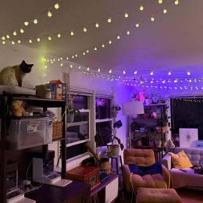 Tida Gherman's room