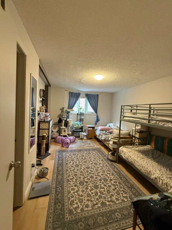 Robert Chuprikov's room