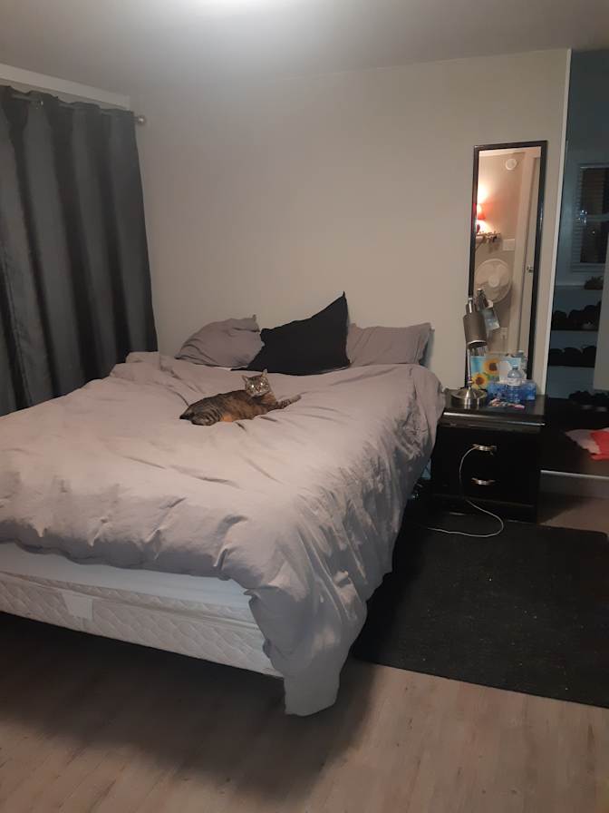 Ran's room