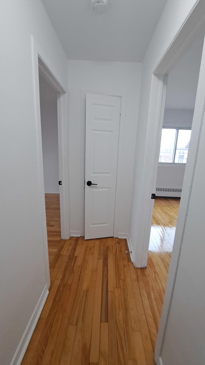 alexandra Triantafillos's room
