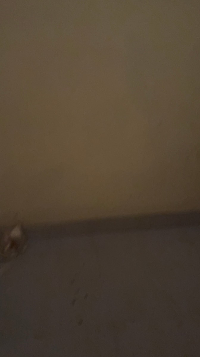 Shiva jha's room