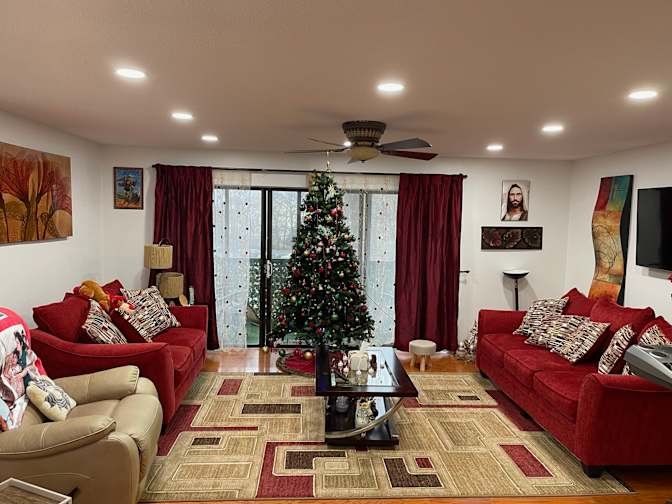 Sandy Habashy's room