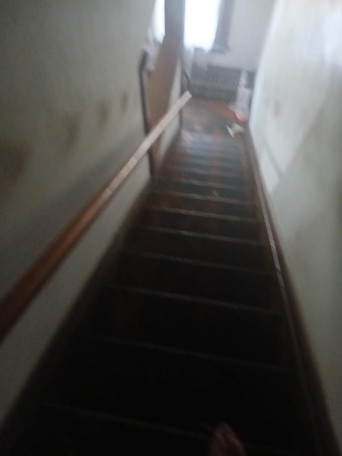 Carlos Cook's room