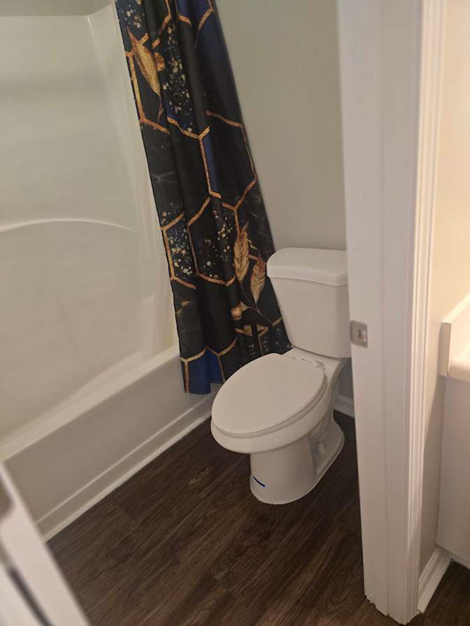 Dino's room