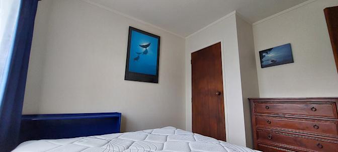 Dominique's room