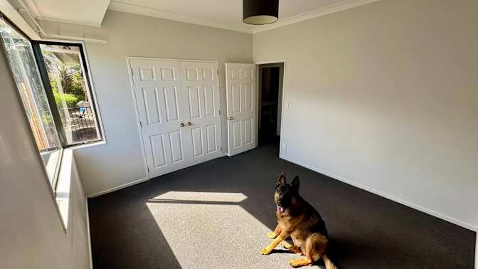Ryan's room