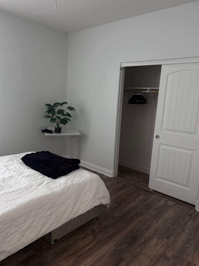anita elias's room
