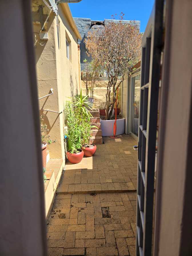 Green Point Tree House's room