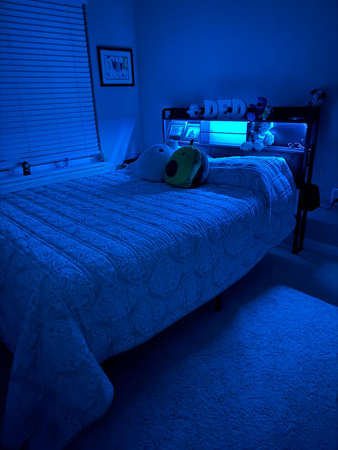 Judith's room
